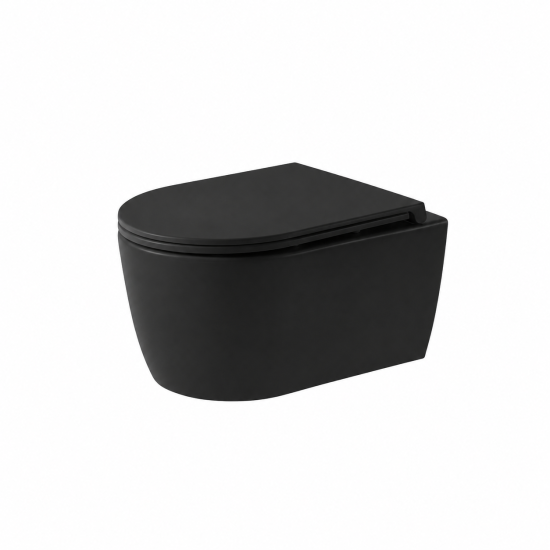 DueGi Wall Hung Toilet — Rounded Profile