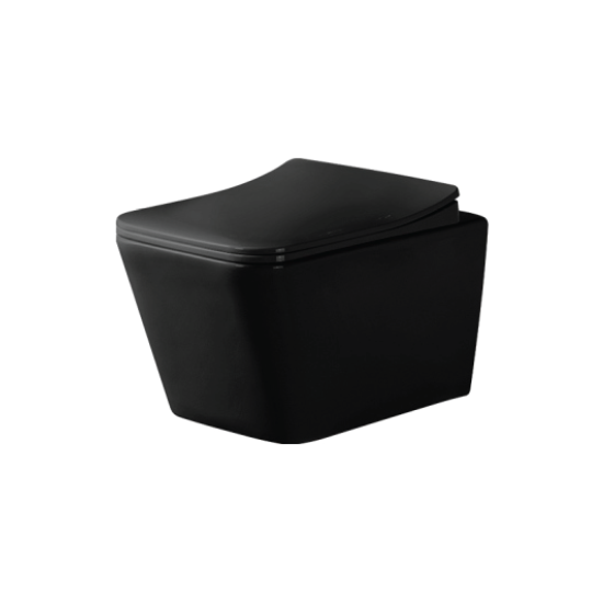 DueGi Wall Hung Toilet 515