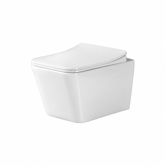 DueGi Wall Hung Toilet 515
